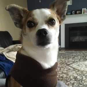 Meet your Posher, Meghan